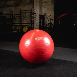 Купить Гимнастический мяч Yousteel Hard 55см в Вологде 